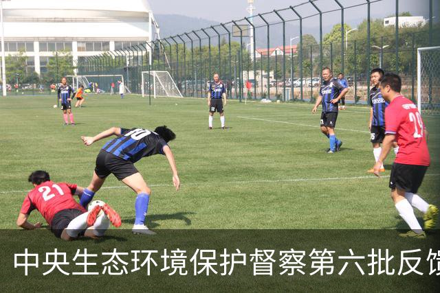 中央生态环境保护督察第六批反馈情况公布